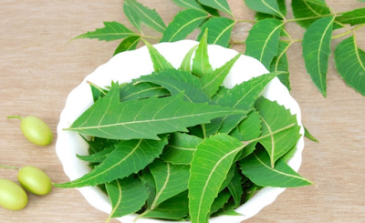 neem for skin neem  for skin care  neem oil for skin care