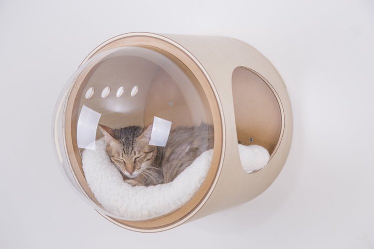 These Bizarre Cat Beds Look Like Spaceships