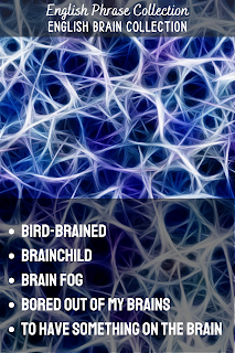 English Phrase Collection | English Brain Collection | Bird-brained, Brainchild, Brain fog, Bored out of my brains,  To have something on the brain