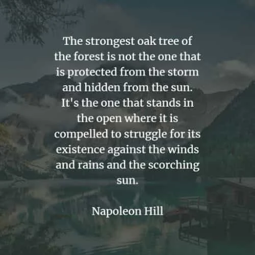 Famous quotes and sayings by Napoleon Hill