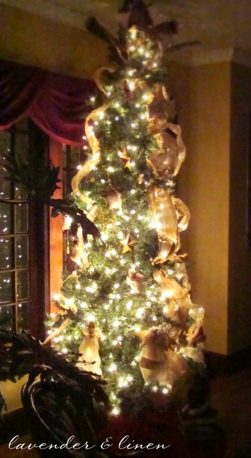 xmas at home 2010 054-1