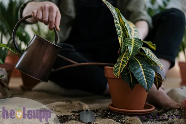 Edinburgh University Study Reveals Gardening Boosts Brain Health in Seniors