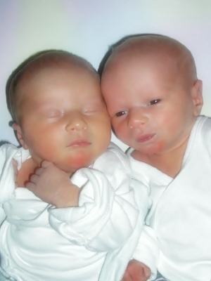 twin babies pictures