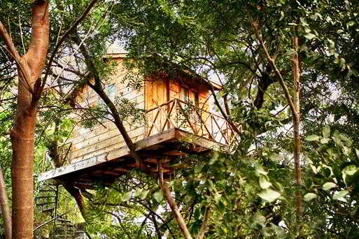  10 desain  rumah  pohon  sederhana dari  kayu bambu  dan 