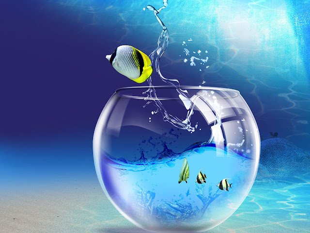 under water 3d hd wallpapers