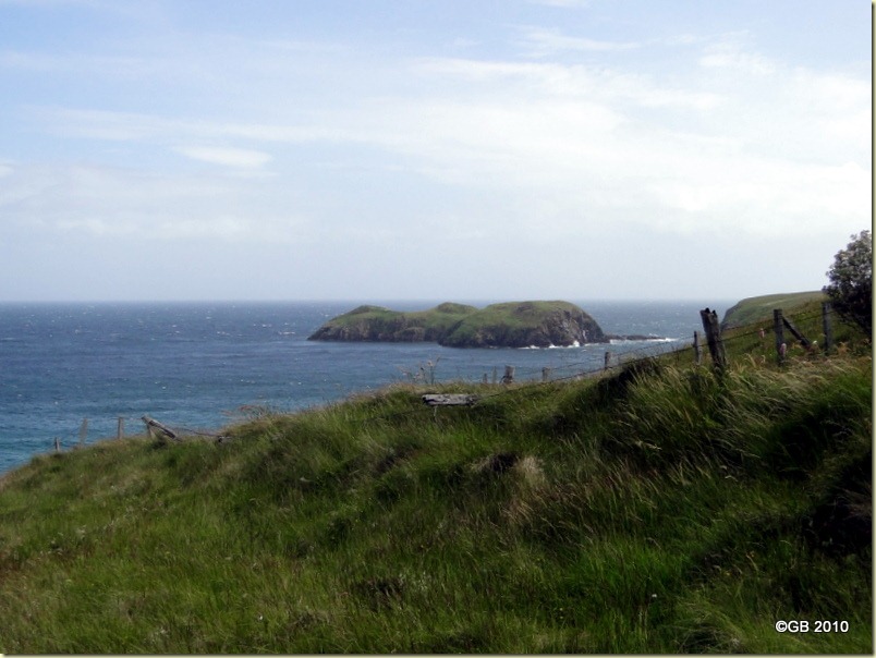 DSC01017