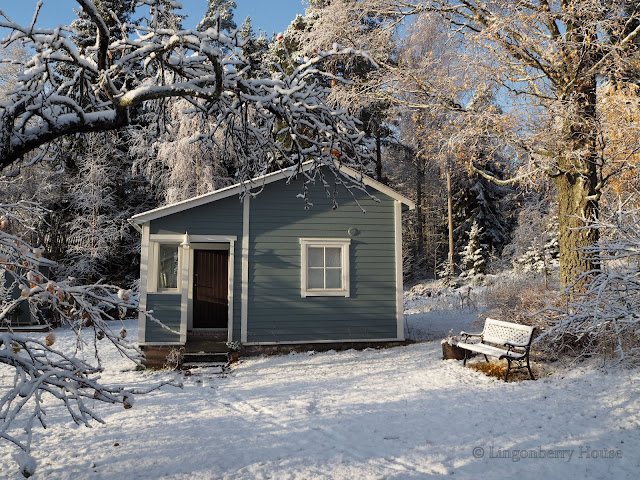 lingonberryhouse, ensilumi, first snow, winter, talvi