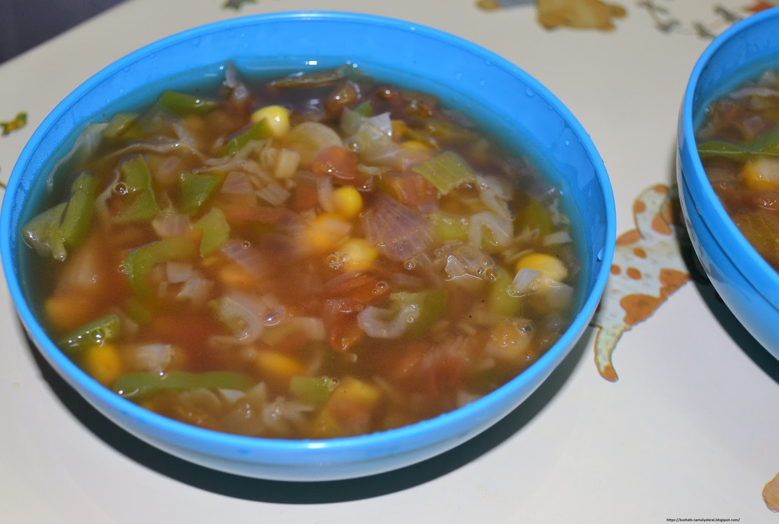 gm diet soup
