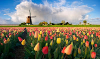 Pindah ke Belanda dan Tinggal di Belanda Bersama Pasangan