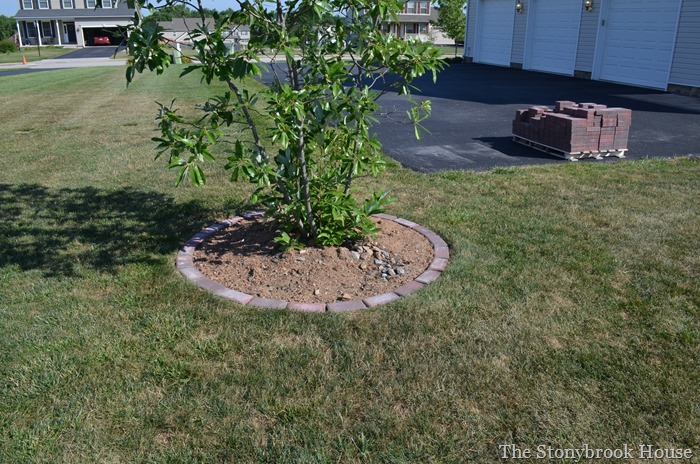 Magnolia Bush Brick Ring