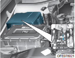 Fuel cell power module compartment fuse panel