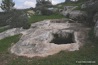 Neot Kedumim Biblical Landscape Reserve Modiin, Israel