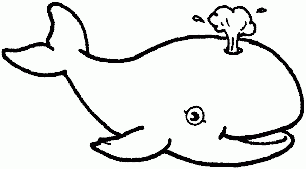 Download Animal Coloring Pages Whale - Colorings.net