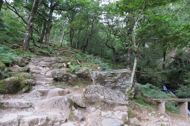 Uneven stone steps and rocks leading uphill through trees. A simple bench on the right in the foreground.