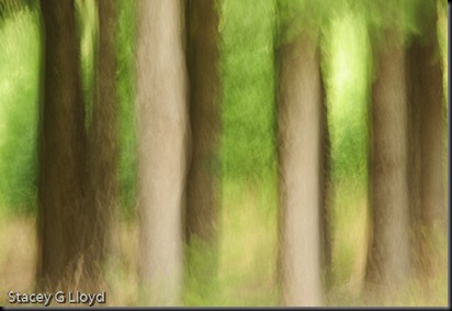 Blog_20090829_1