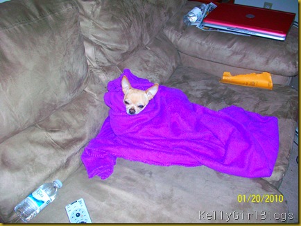Picture 012