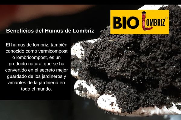 ¿Qué beneficios tiene el humus de lombriz?