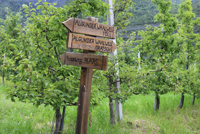 Impressionen aus Südtirol