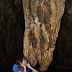 Batu Stalagtit