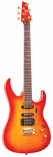 Arbor Electric Guitars5