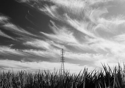 秋の空の雲（巻雲）