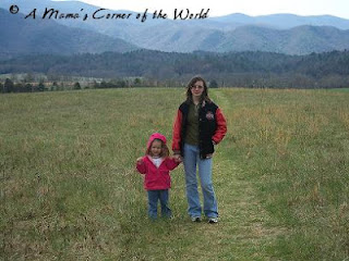 Spring Break, Cades Cove, Tennessee