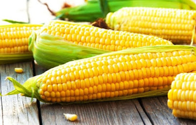 Top 10 Incredible Health Benefits of Corn 