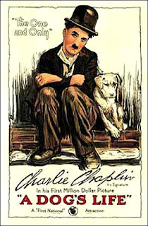 Blog Safari Club, película online, Vida de perro, Charles Chaplin (1918)