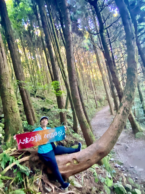 橫嶺山步道