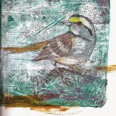 day 13 the sparrow
