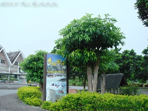 花蓮瑞穗｜秀姑巒溪遊客中心｜6月阿勃勒路樹花海、鳳梨田