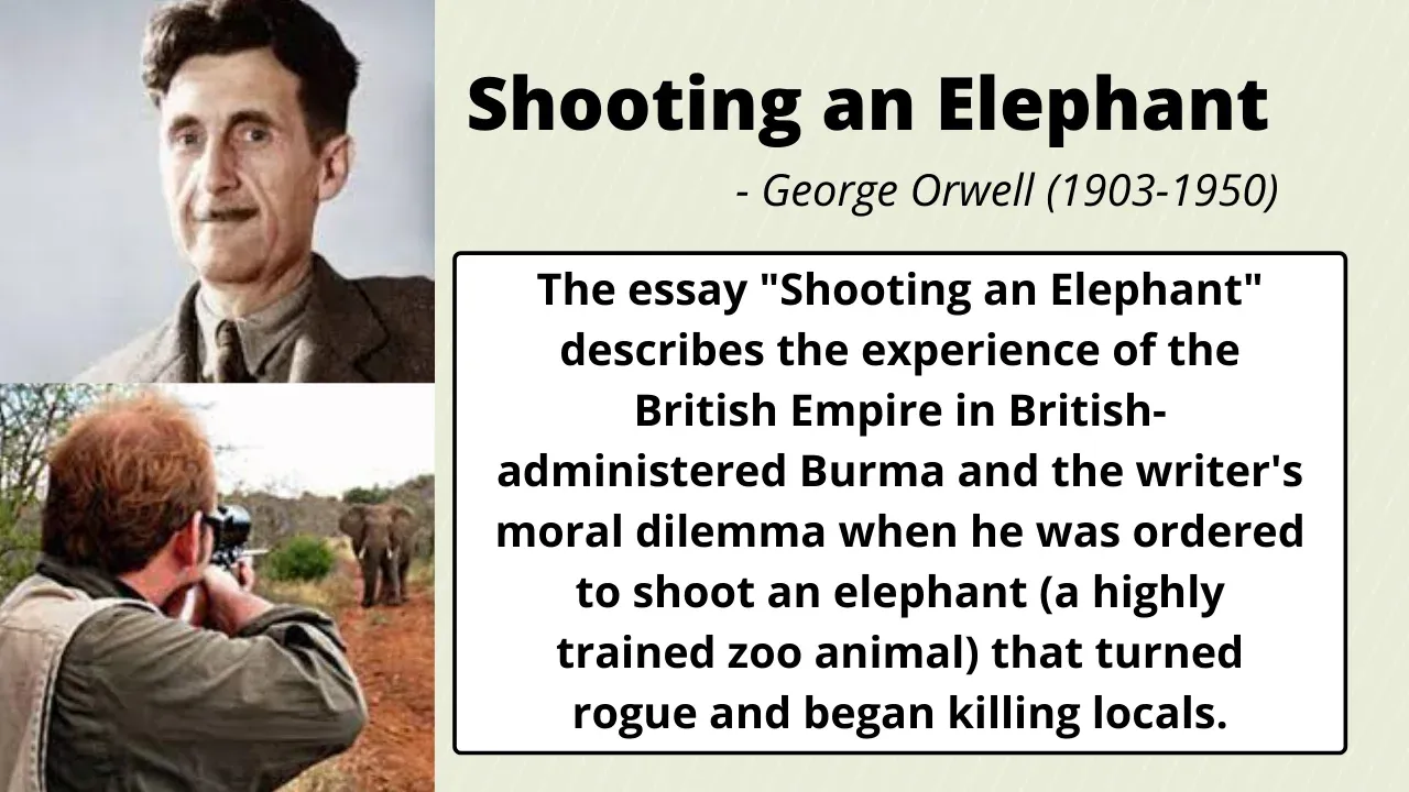 what kind of essay is shooting an elephant