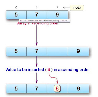 Thuật toán Thêm/ xóa phần tử trong mảng 1 chiều