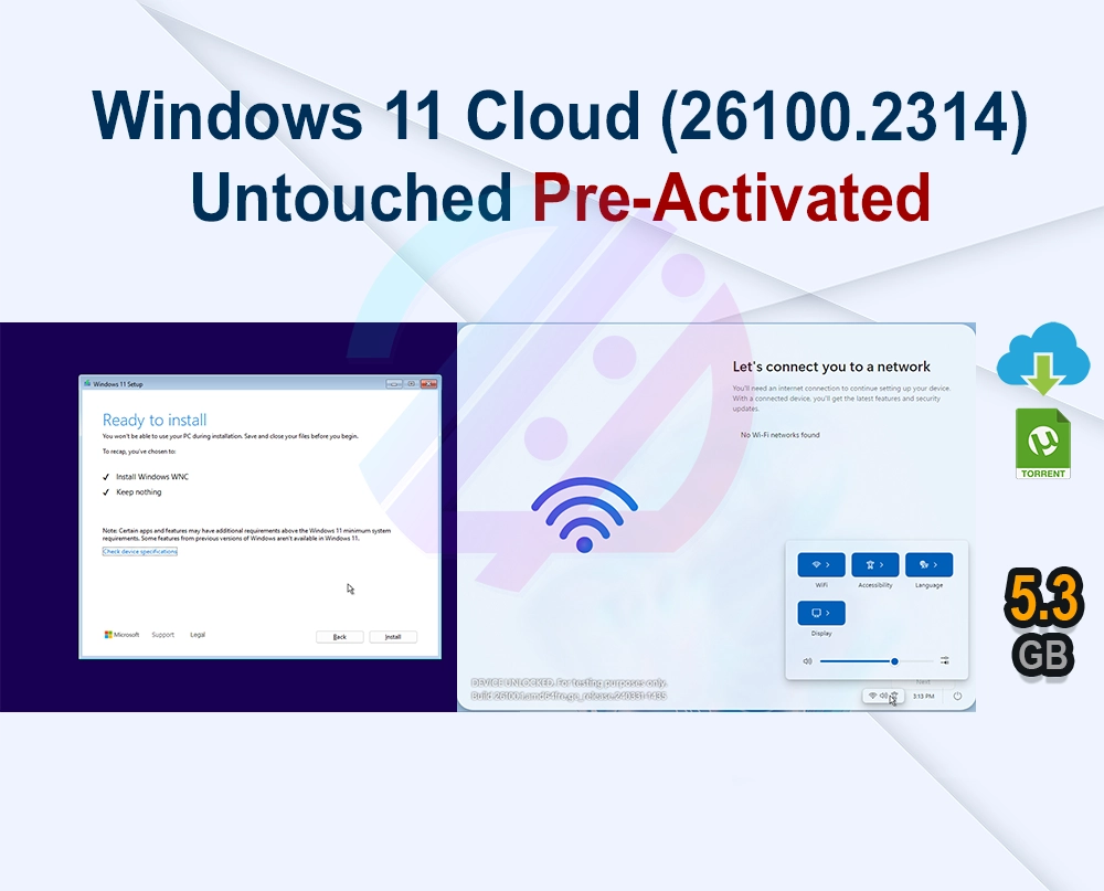 Windows 11 Cloud (26100.2314) Untouched