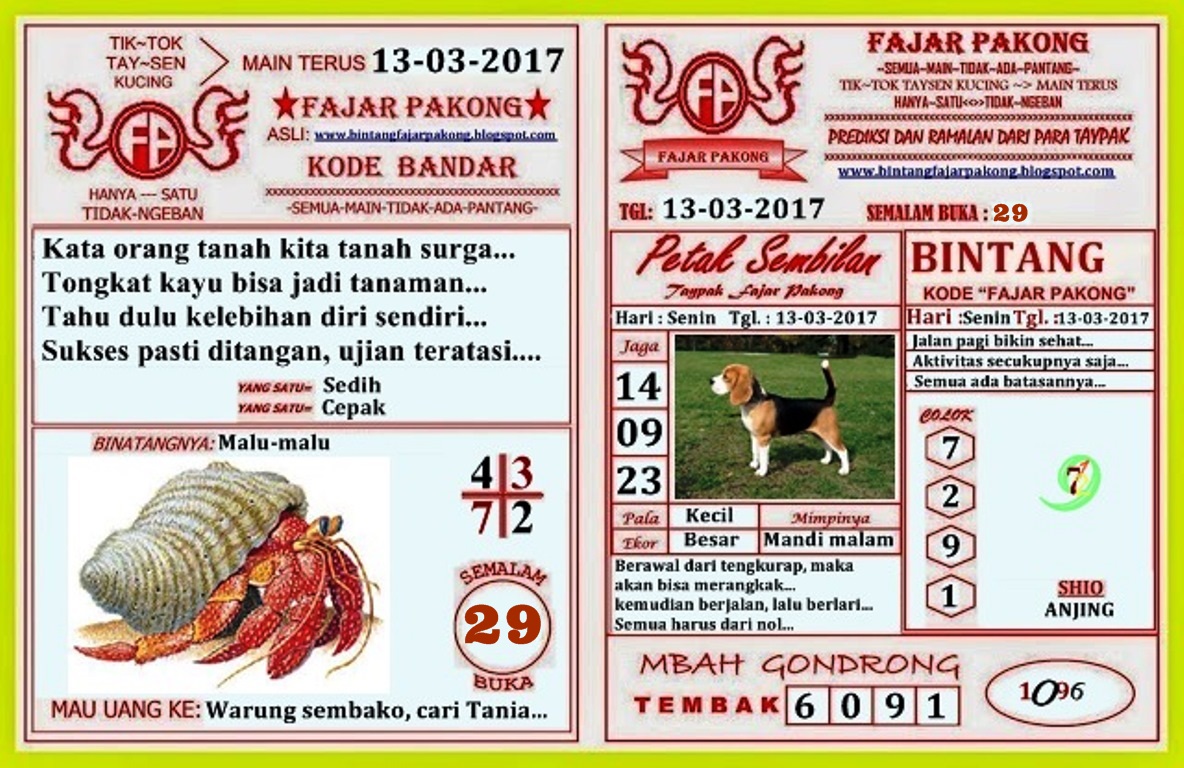 5000 Gambar  Hewan  Galau Pakong  HD Terbaru  Infobaru