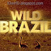BBC - Wild Brazil (2014) - 3/3