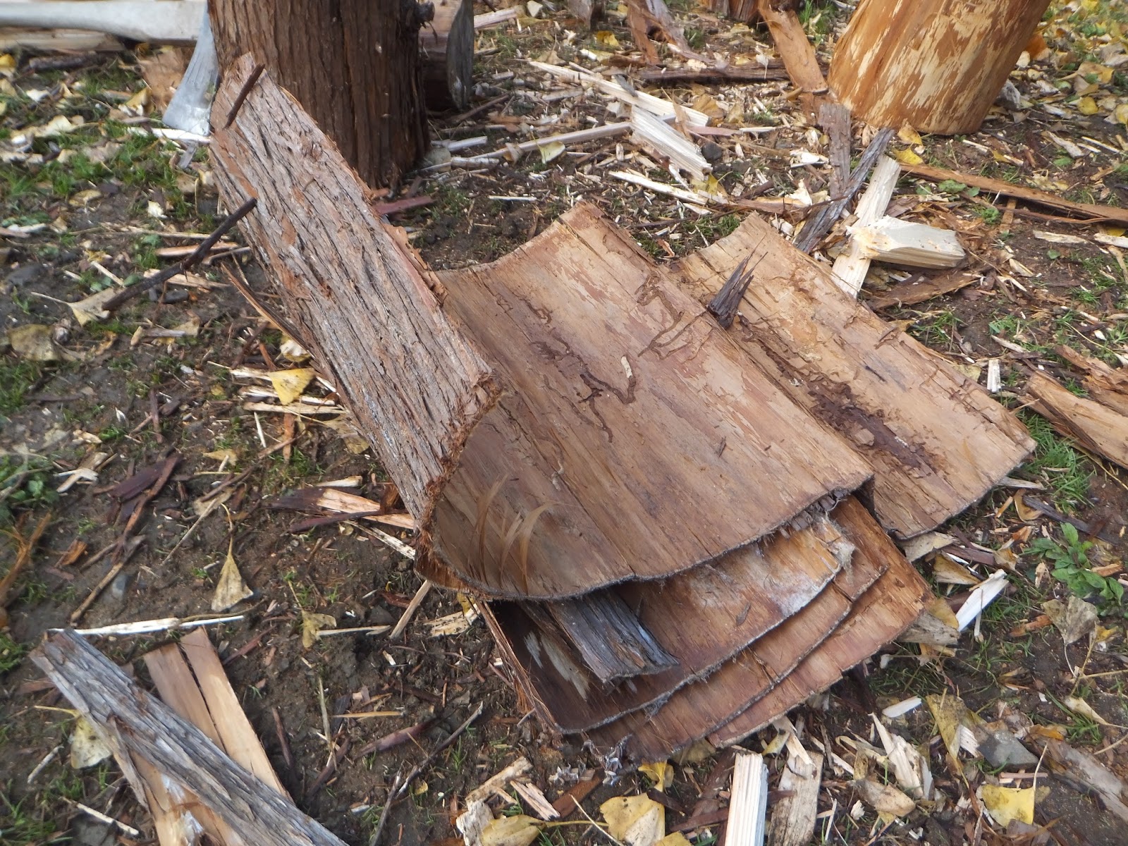ひたち里山ファーム 日記 スギ ヒノキ ヤマザクラの天然樹皮 分蜂群誘導板用 販売します