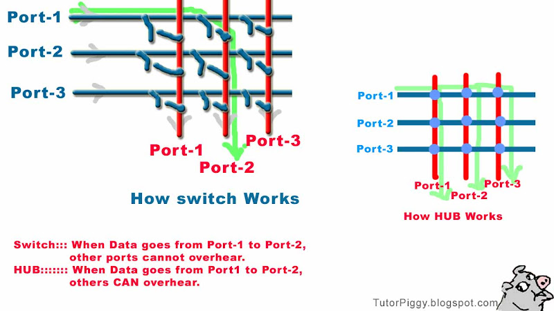 difference between switch and  hub