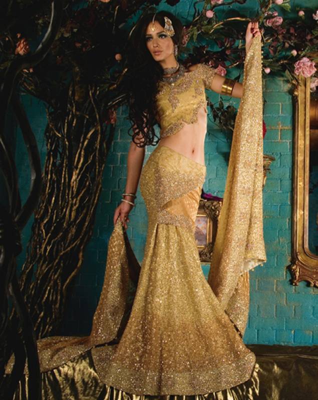 Rajistani Bridal Dress