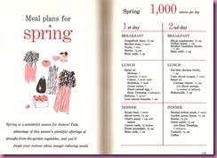 spring 1000 calorie plan