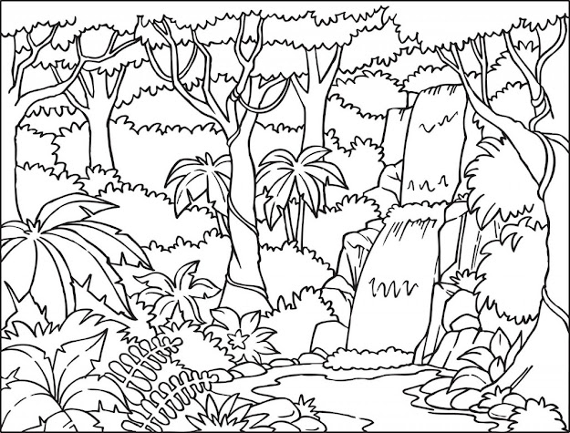 Free Printable Rainforest Coloring Pages  Az Coloring Pages