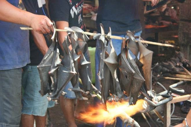 Makanan Paling Ekstrem Di Indonesia