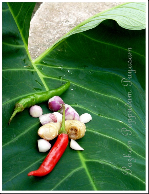 Spicy Kozhukatta