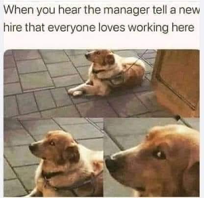 When you hear the manager tell a new hire that everyone loves working here