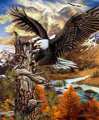 9 Hidden Eagles Optical Illusion