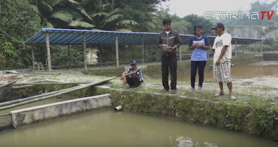 Peluang Usaha Sampingan Kolam Pemancingan Dengan Potensi Besar