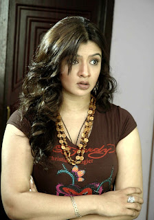 aarthi agarwal hot exposing spicy still