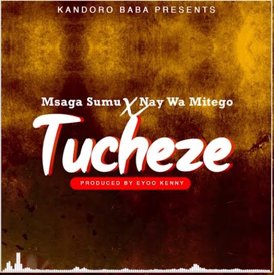 AUDIO Mp3 | Msaga Sumu X Nay Wa Mitego - Tucheze | Song Download