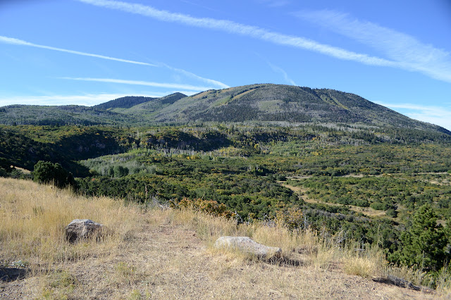 peaks with trees on the top