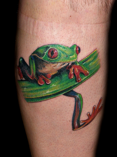 Tree Frog Tattoo When I look at this drawing of a horse